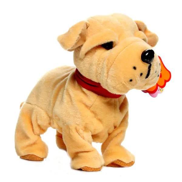 VZeQ0SW8xYYHXwgX - Nai Pet Store