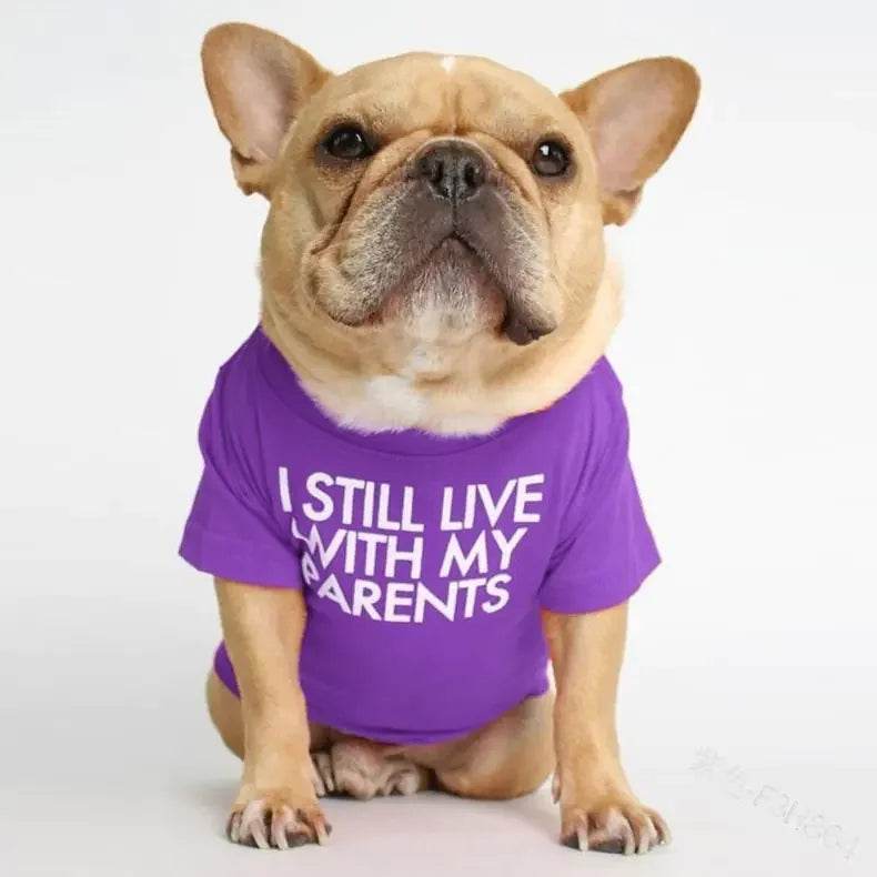 Vr1avpCmVsCiZyVU - Nai Pet Store