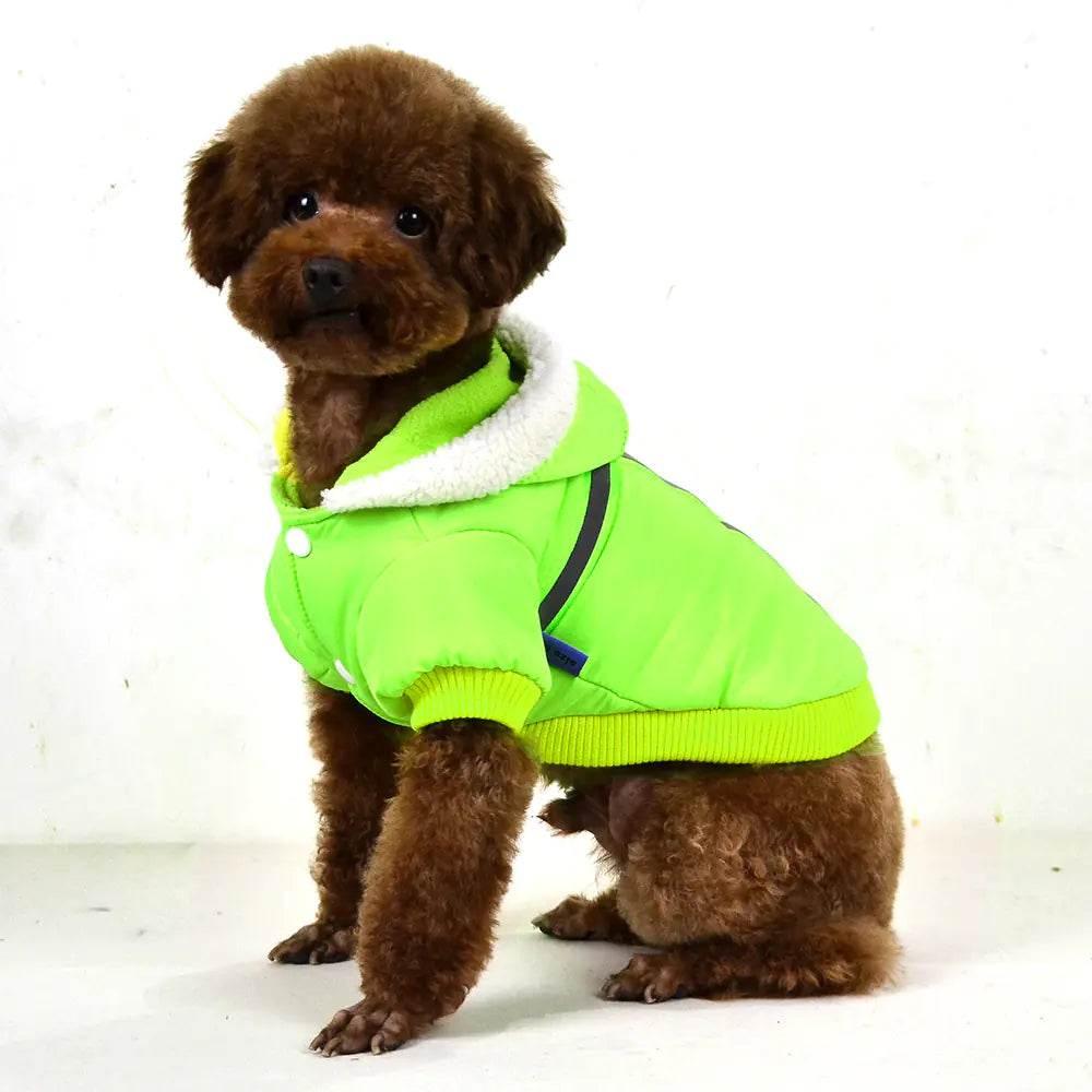 XwWmAlDrUkgD8NWZ - Nai Pet Store