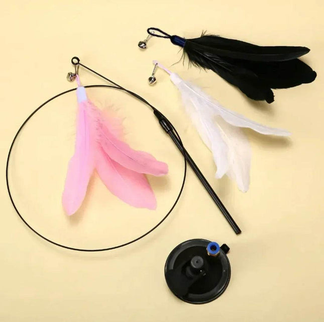 YS1ajmSHHqNl65NT - Nai Pet Store