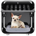 Zd6WTJ8inFF1GkIM - Nai Pet Store