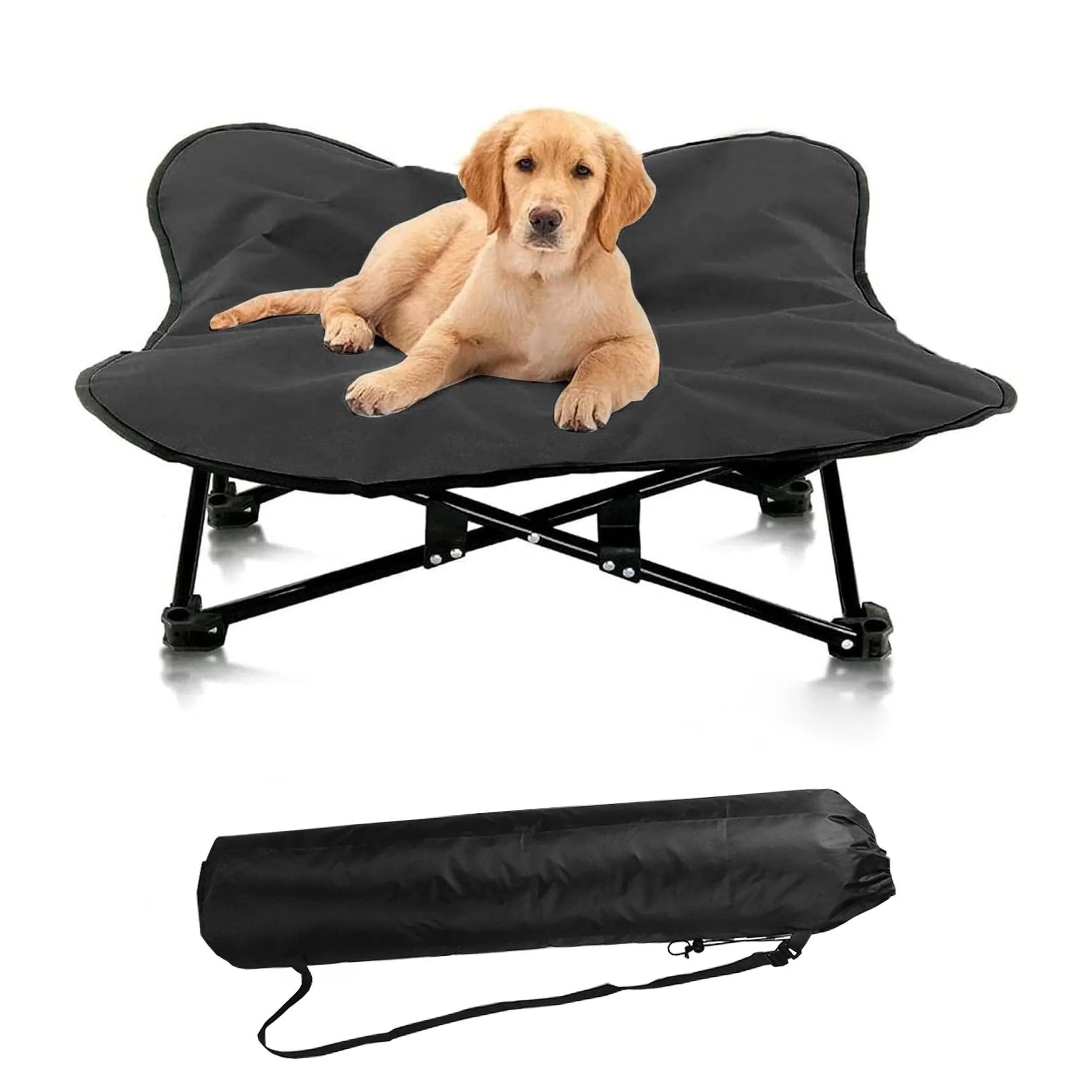 Golden retriever puppy on black elevated dog bed with portable carry bag, ideal pet accessory for comfort and travel.