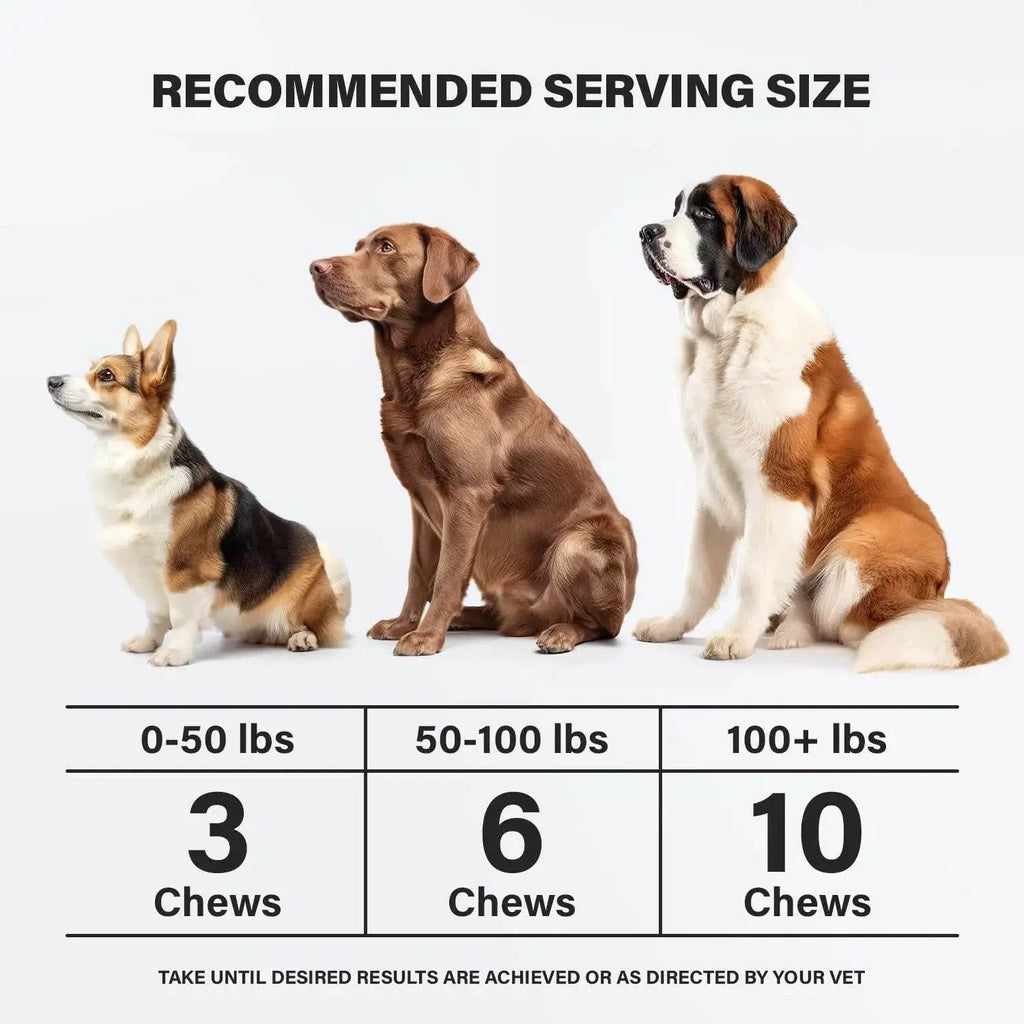 Dog chew serving size chart by weight: 3 for 0-50 lbs, 6 for 50-100 lbs, 10 for 100+ lbs