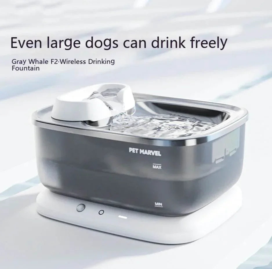 Gray Whale F2 wireless pet drinking fountain for dogs, automatic water dispenser with filter