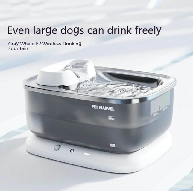 Gray Whale F2 wireless pet drinking fountain for dogs, automatic water dispenser with filter