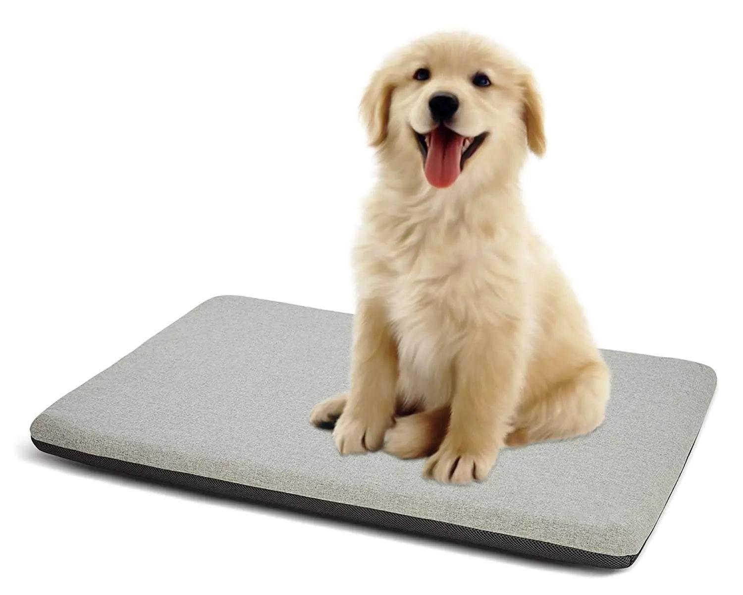 Happy golden retriever puppy sitting on a cozy gray pet bed