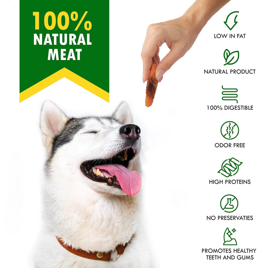 Happy husky dog enjoying 100% natural meat treat, low fat, high protein, no preservatives, promotes healthy teeth and gums