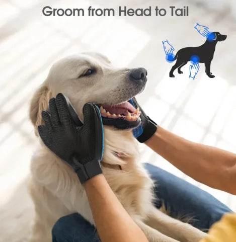 Gentle dog grooming glove brushing golden retriever, head to tail pet care tool for shedding and massage