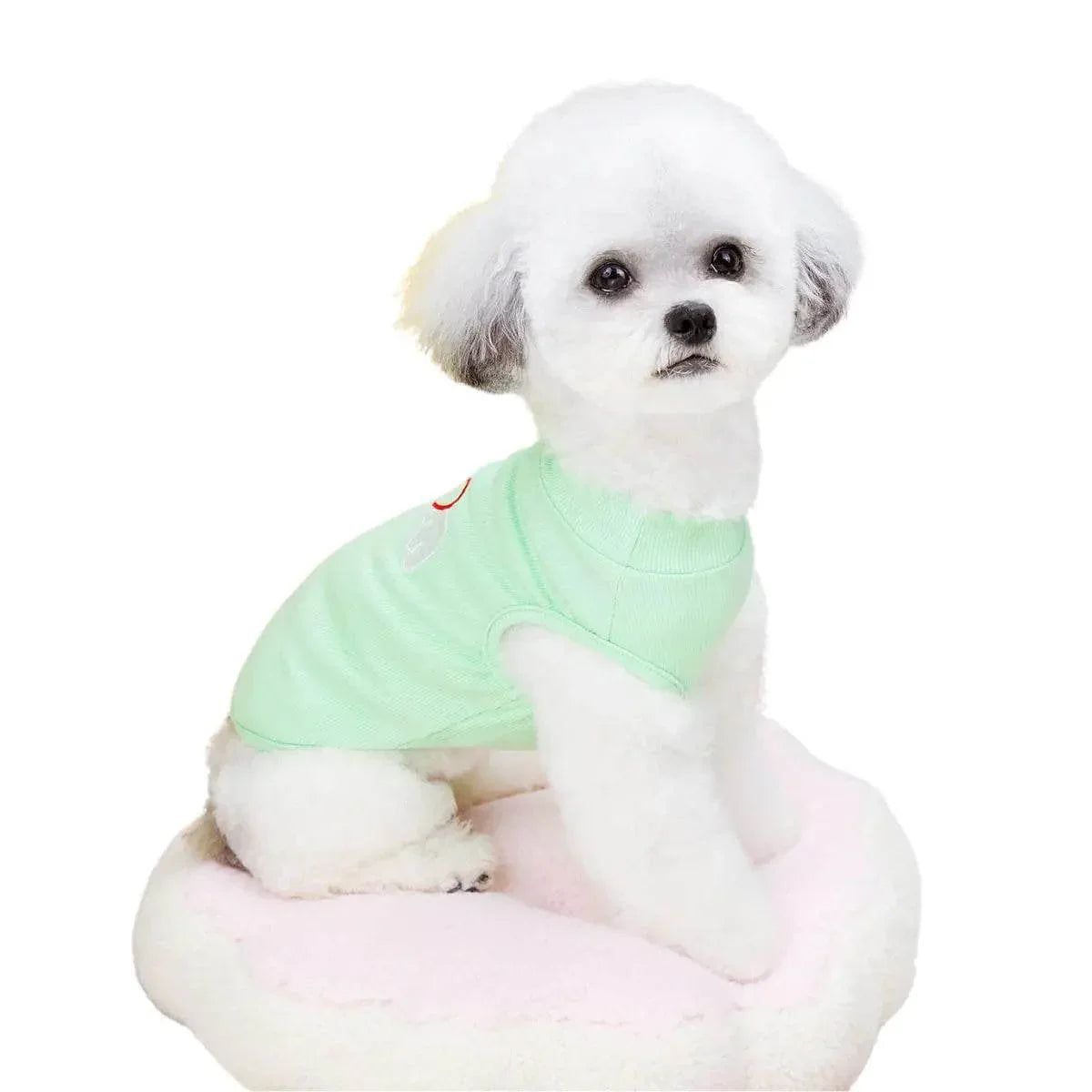 Adorable white puppy in mint green sweater sitting on pink pet bed, cozy dog apparel and accessories