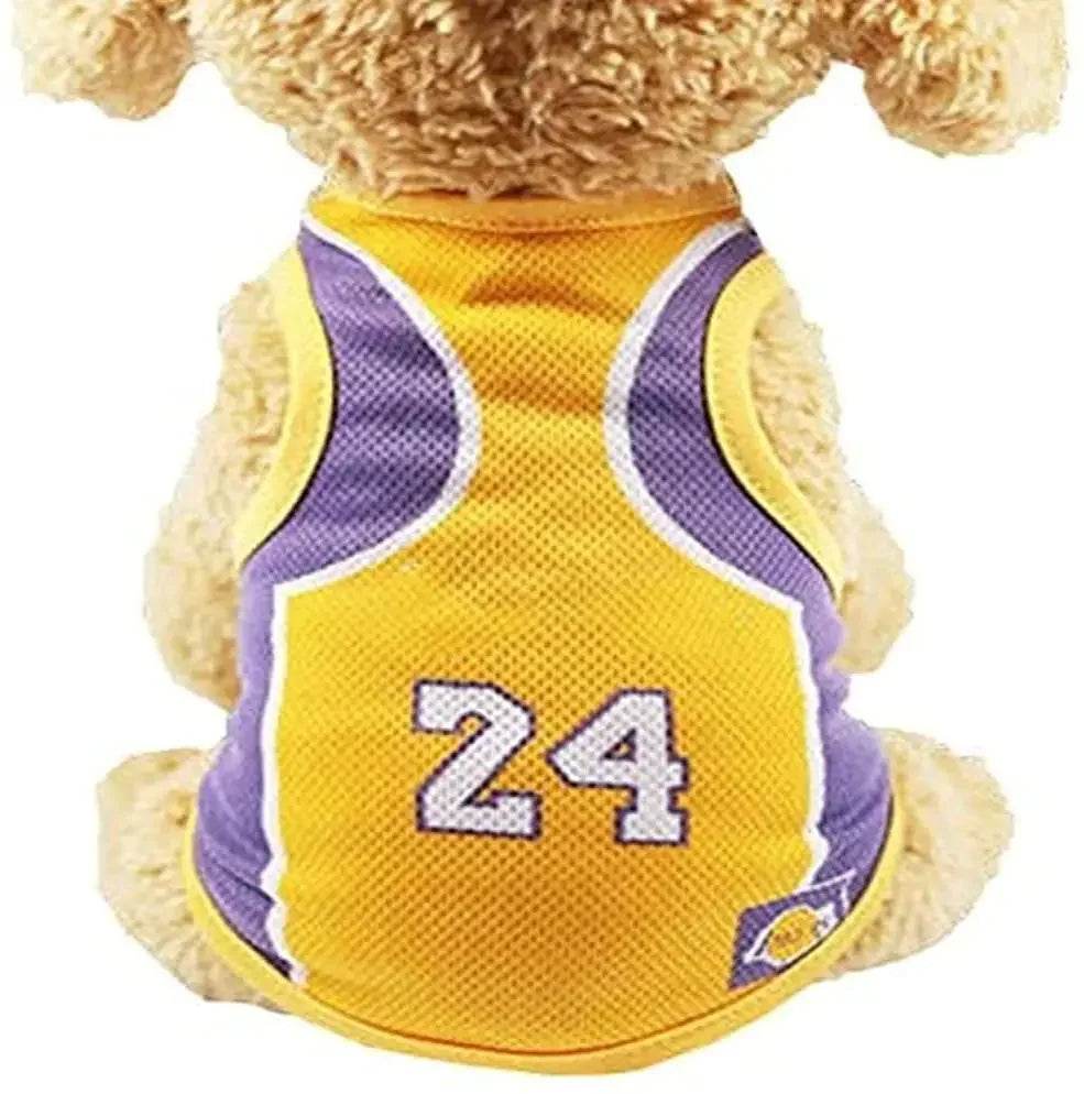Dog wearing yellow and purple basketball jersey with number 24, pet sports apparel