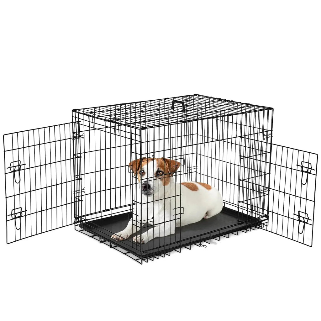 Jack Russell Terrier in black wire dog crate with open doors, ideal for pet training and travel