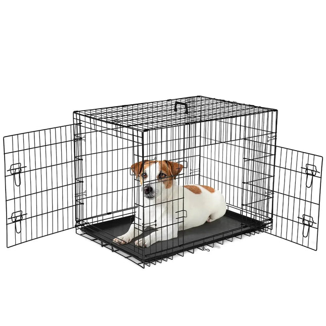 Jack Russell Terrier in black wire dog crate with open doors, ideal for pet training and travel