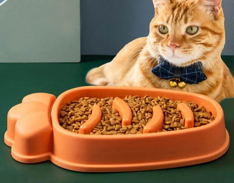 Orange slow feeder cat bowl with kibble, worn by ginger cat in bow tie, ideal for pet care essentials