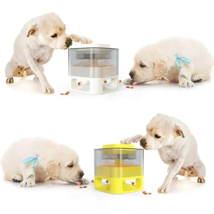 Dogs playing with interactive puzzle feeders for mental stimulation and slow feeding