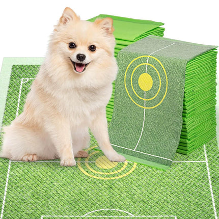 Fluffy Pomeranian on green soccer field pet mat with target design, ideal for dog training and play.