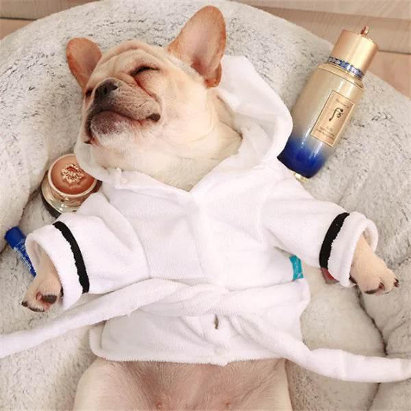 French bulldog in cozy white robe relaxing on pet bed with skincare products nearby