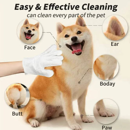 Pet Cleaning Gloves & Wipes — Disposable, Ear, Eye, Tooth & Foot Care