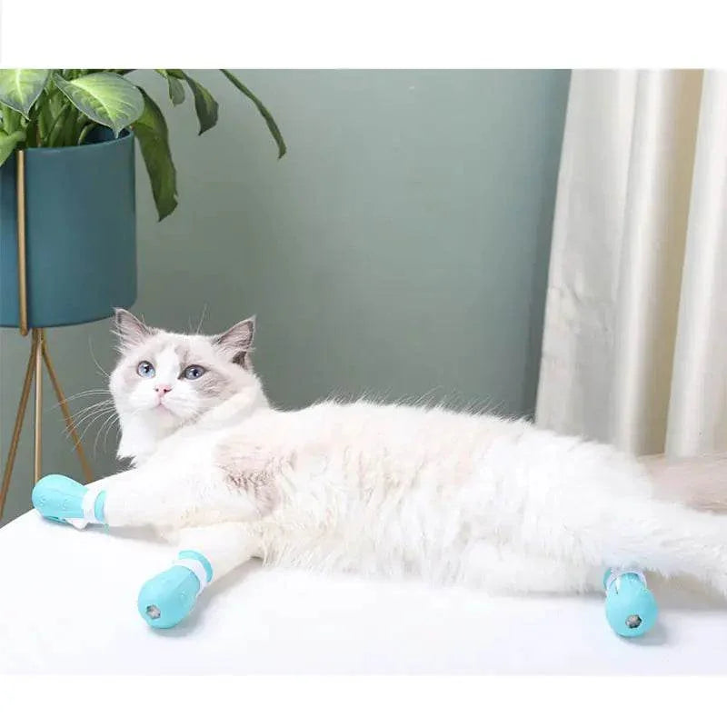 Fluffy white cat wearing blue protective booties, relaxing on a white surface near a potted plant.