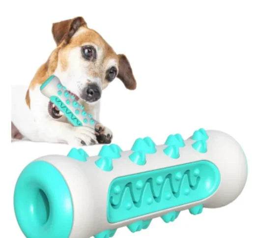 Dog chewing teal and white textured chew toy for dental care and play