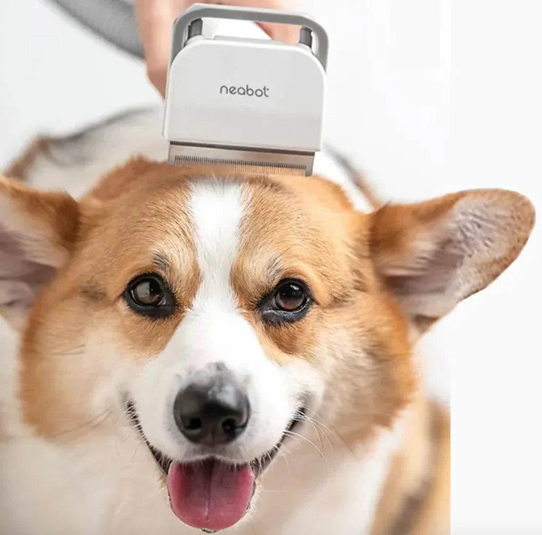 Neabot pet grooming tool gently brushing a happy Corgi?s head for dog care and shedding control