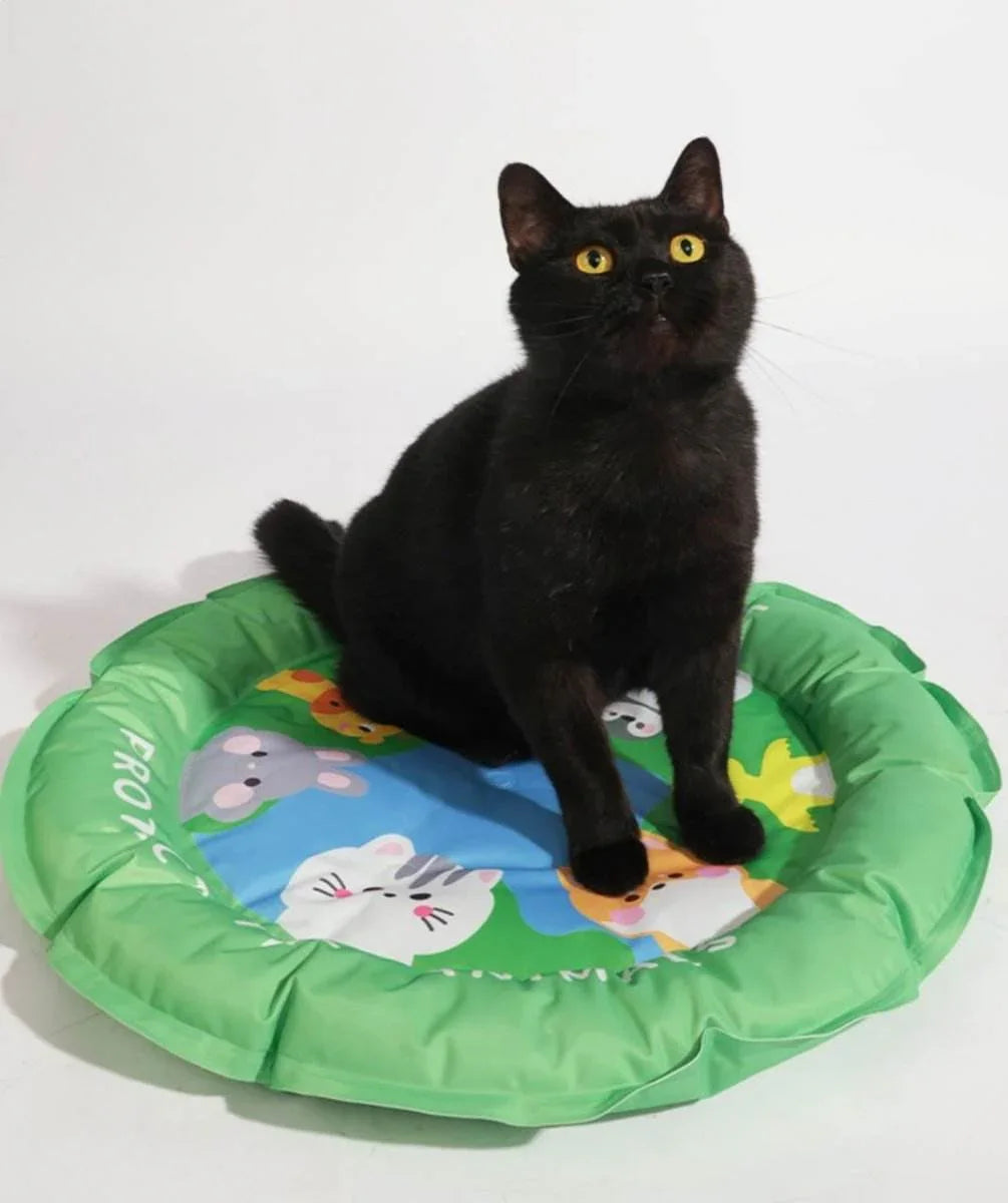 Black cat sitting on colorful pet bed with cartoon animals, ideal for cat comfort and play