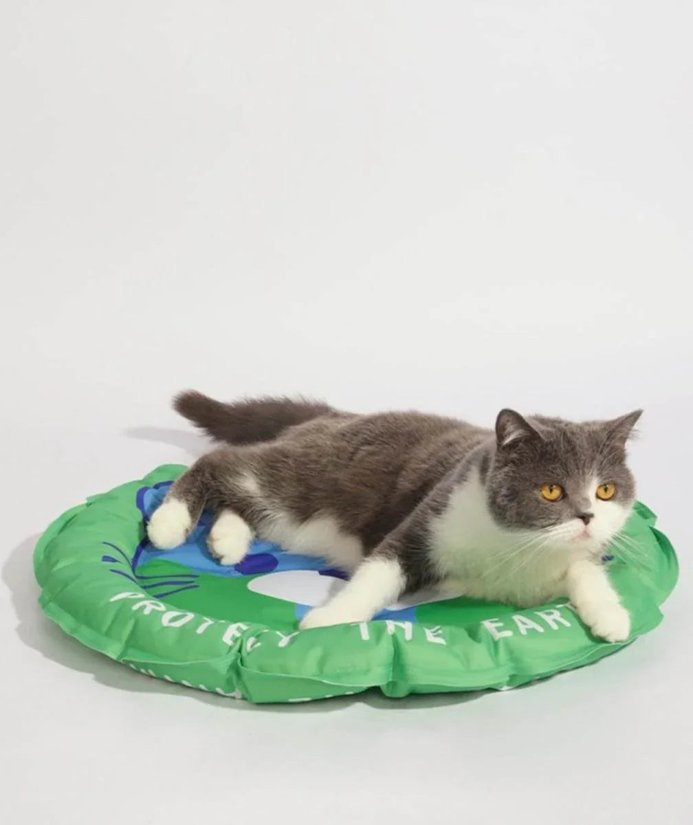 Gray and white cat lounging on green eco-themed pet bed with 'Protect the Earth' text