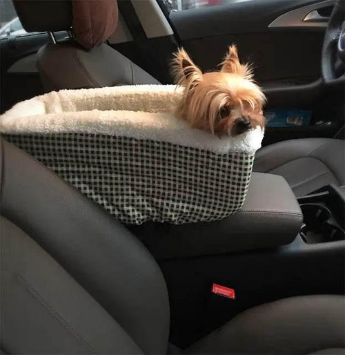 Small dog in checkered car seat basket, cozy pet travel accessory for safe rides
