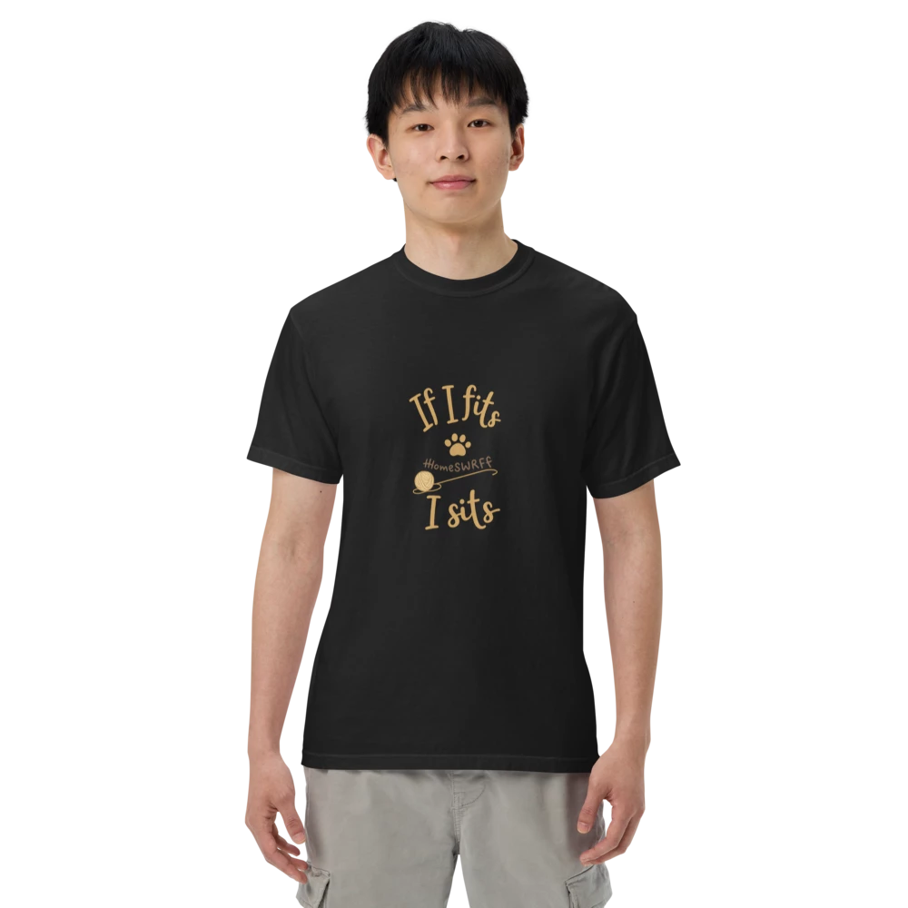 Black t-shirt with 'If I fits I sits' cat quote and paw print, pet lover apparel