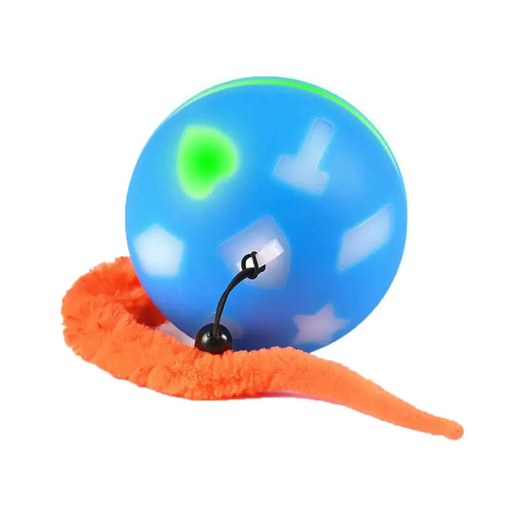 lQrJ6bCPF0ft06xS - Nai Pet Store