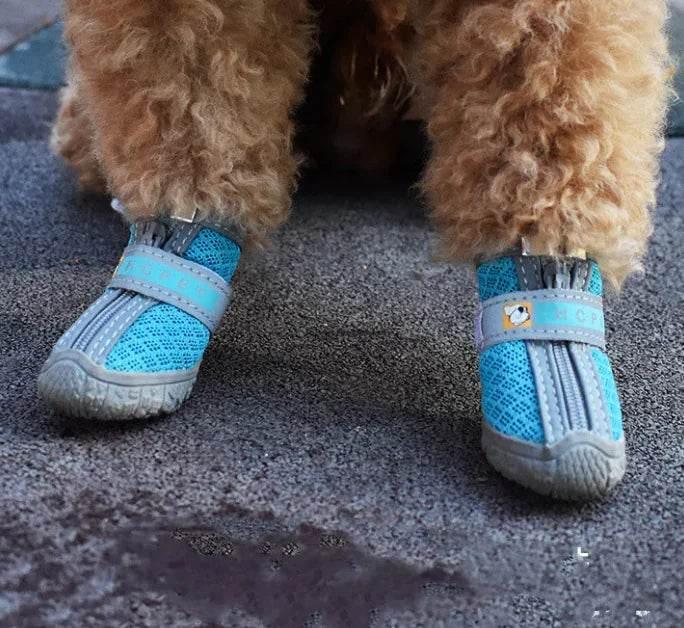 mLxZBkywTg1D2CqJ - Nai Pet Store