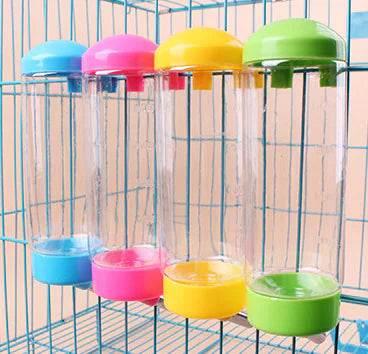 ojdhBqYtMLxBoEQk - Nai Pet Store