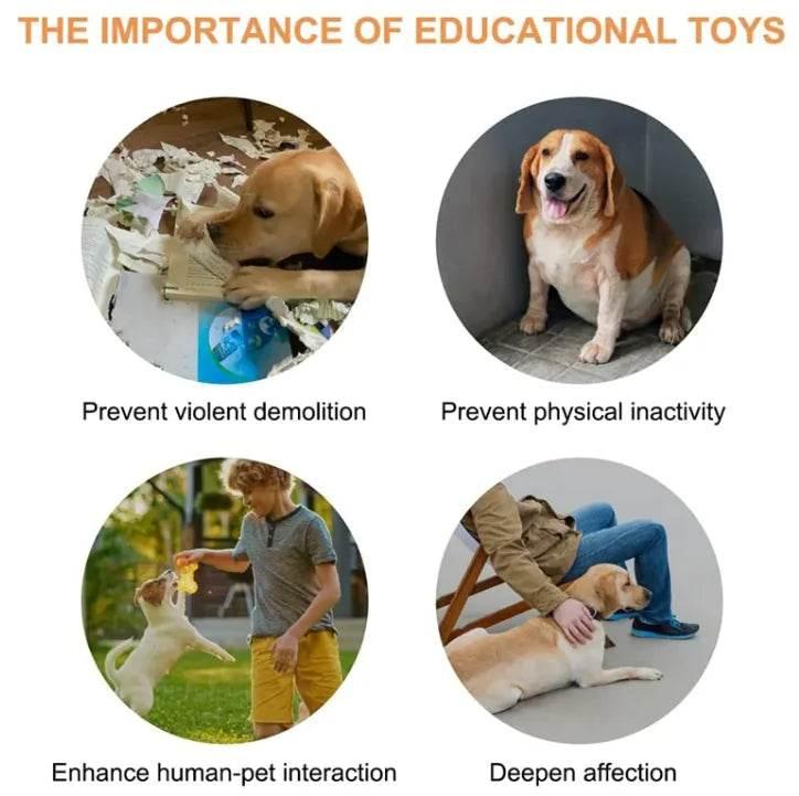 pdrkwiuiP75p6JJW - Nai Pet Store