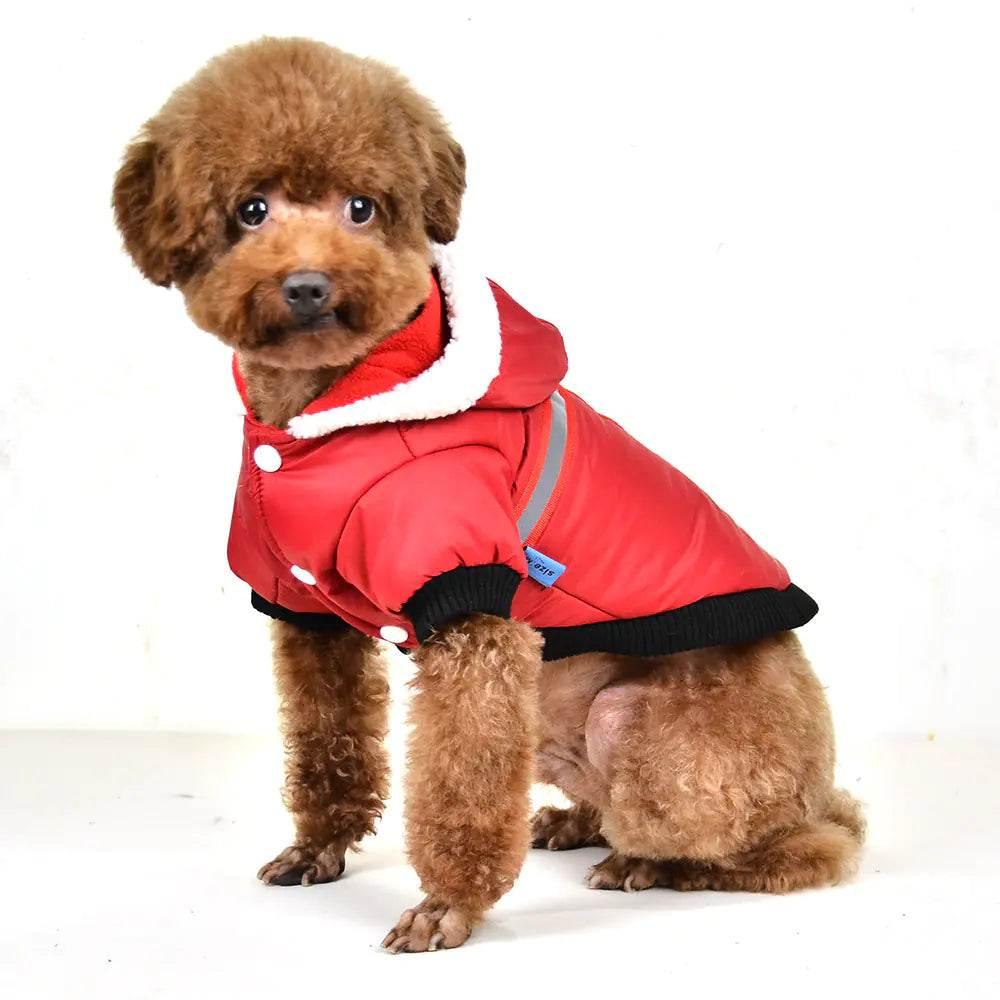 qCC8pxsAKg3kmnWH - Nai Pet Store