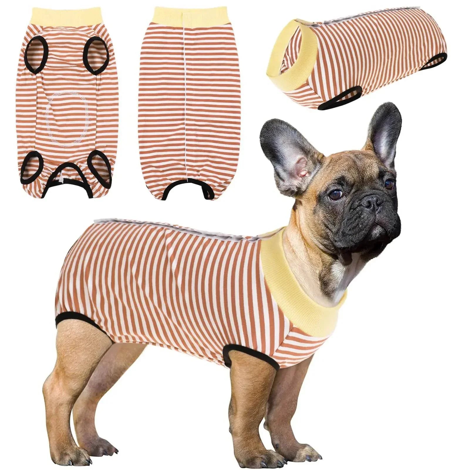 r4hpXvOkCdIPTyxw - Nai Pet Store