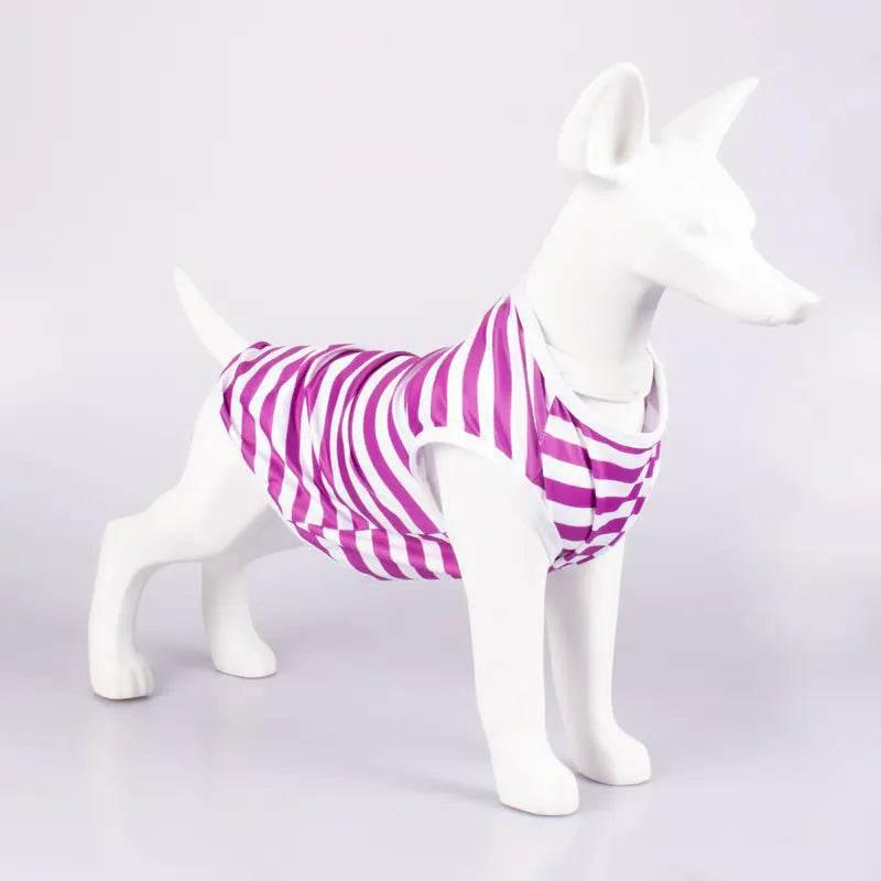rMz5a7fxFKJUBPsG - Nai Pet Store