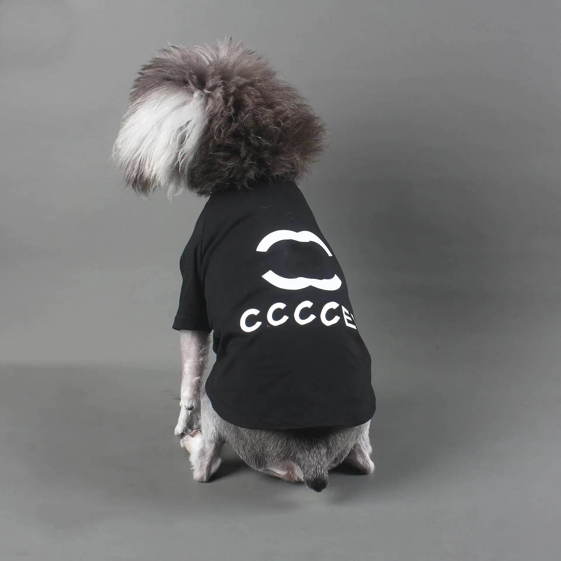 rvQq8AiYawQqloht - Nai Pet Store