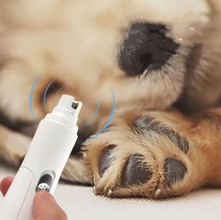 twda6GE3gFmjTphm - Nai Pet Store