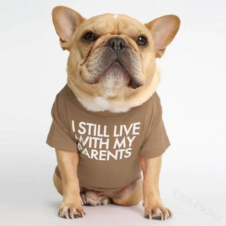 uO62Cd49XTeAPUyo - Nai Pet Store