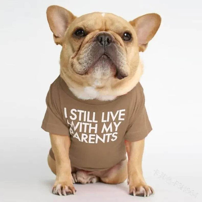 uO62Cd49XTeAPUyo - Nai Pet Store