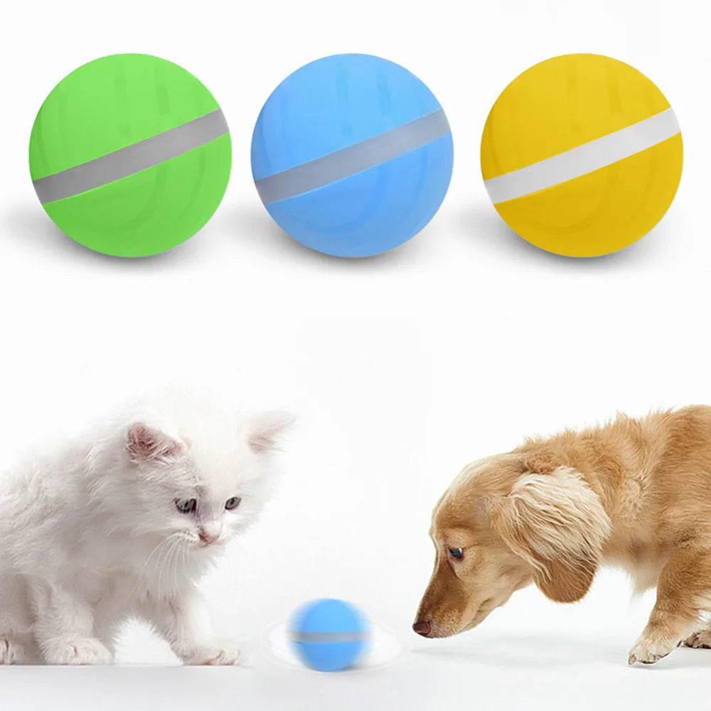 wWzhMu6Pc2uuWaYQ - Nai Pet Store
