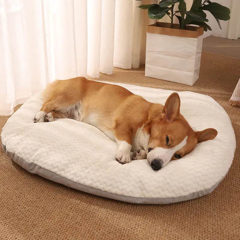 zkAyJSWYKRVK1gQe - Nai Pet Store